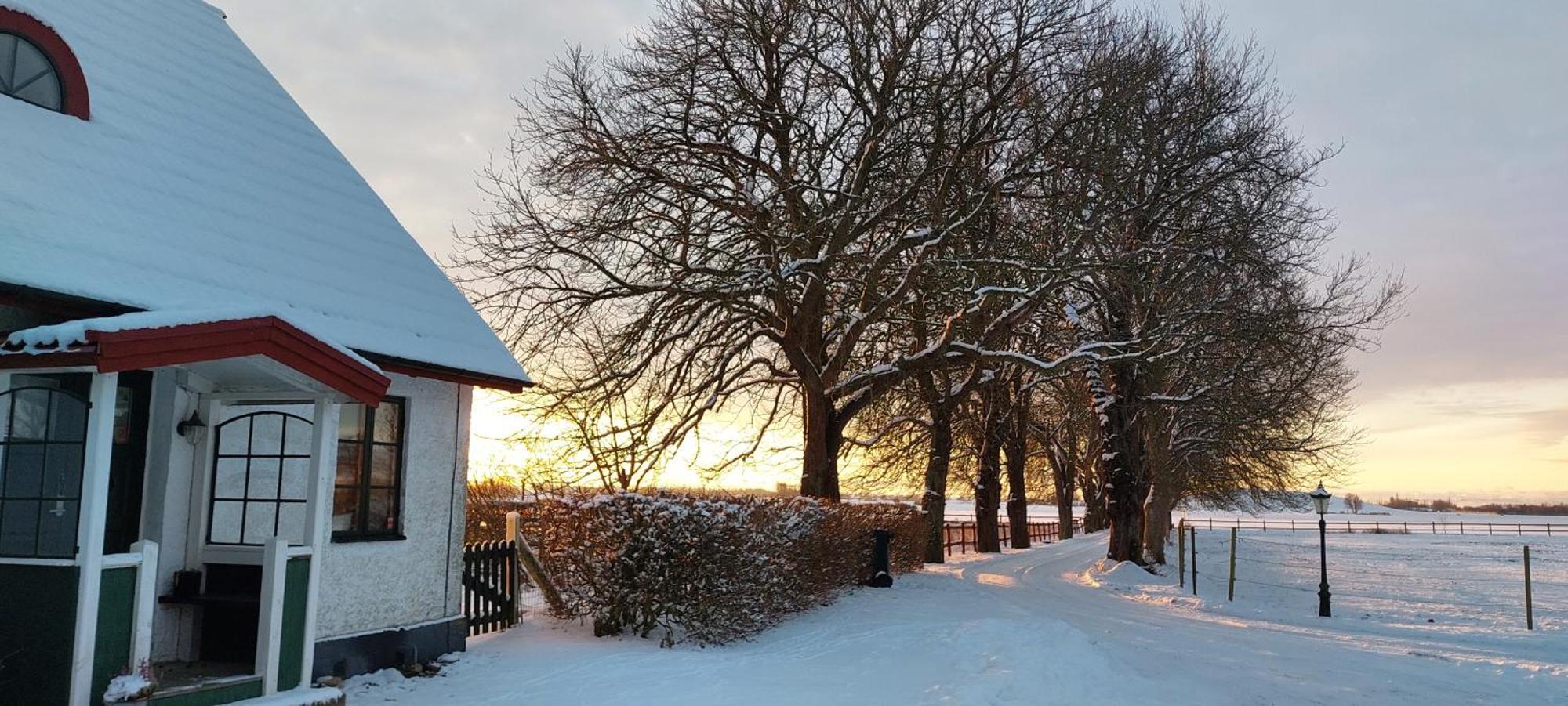 Lantligt Och Lugnt Boende Naera Natur Och Stad Svedala Luaran gambar