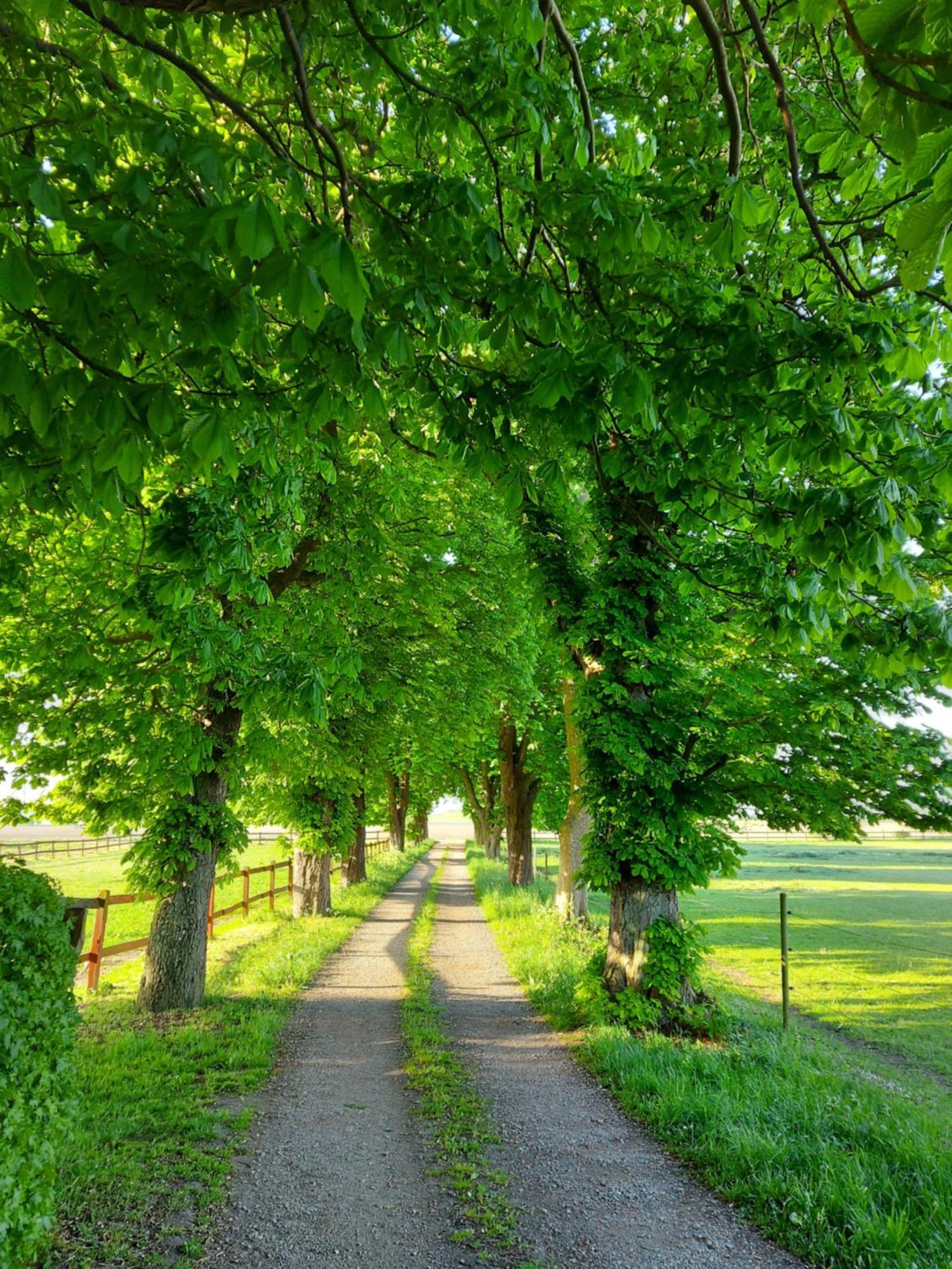 Lantligt Och Lugnt Boende Naera Natur Och Stad Svedala Luaran gambar