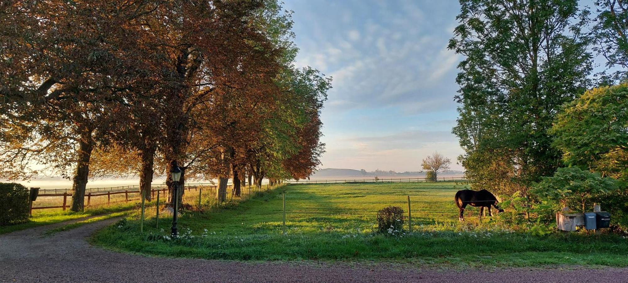 Lantligt Och Lugnt Boende Naera Natur Och Stad Svedala Luaran gambar