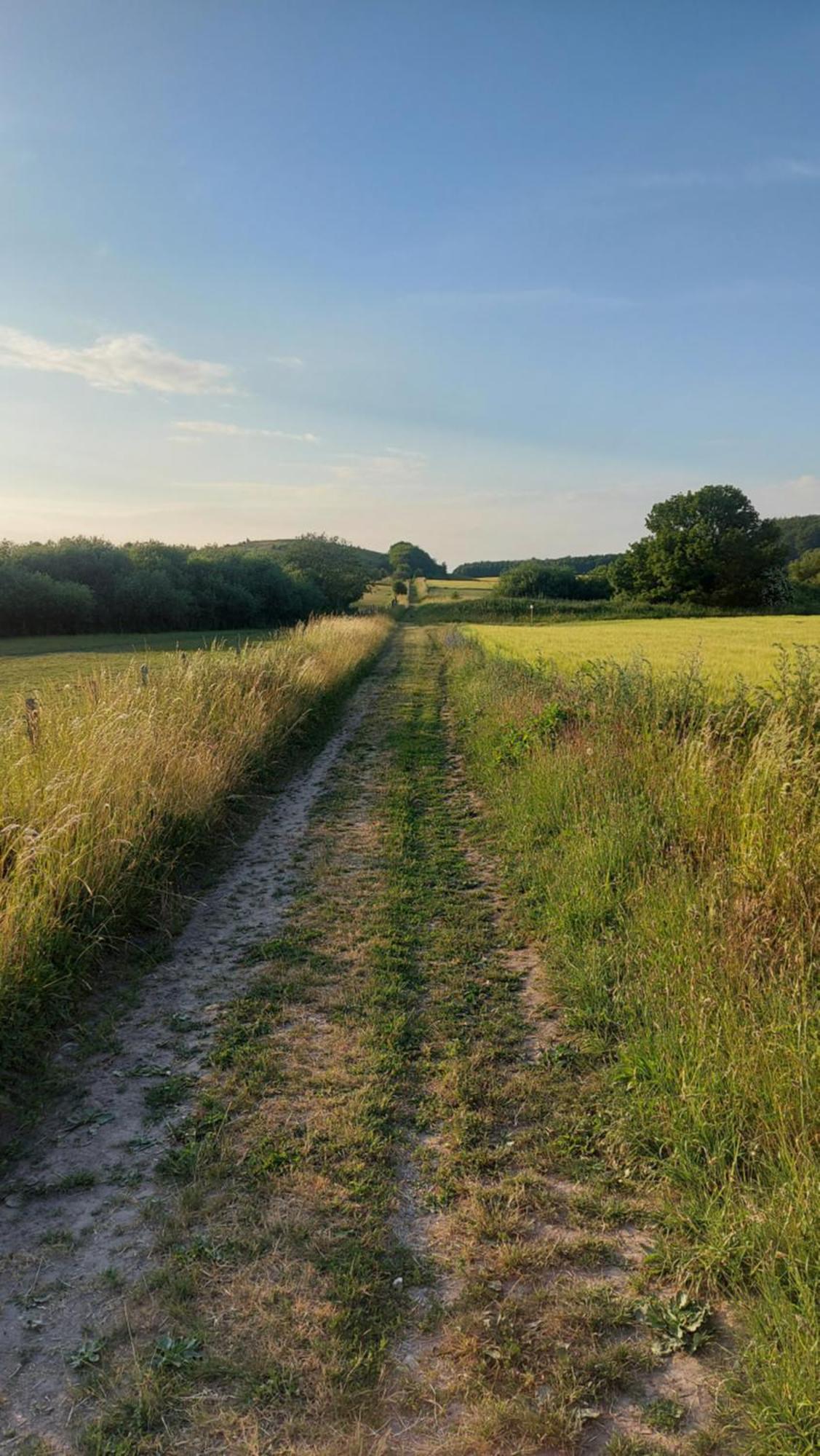 Lantligt Och Lugnt Boende Naera Natur Och Stad Svedala Luaran gambar