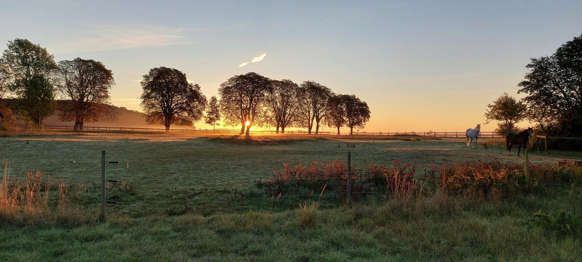Lantligt Och Lugnt Boende Naera Natur Och Stad Svedala Luaran gambar