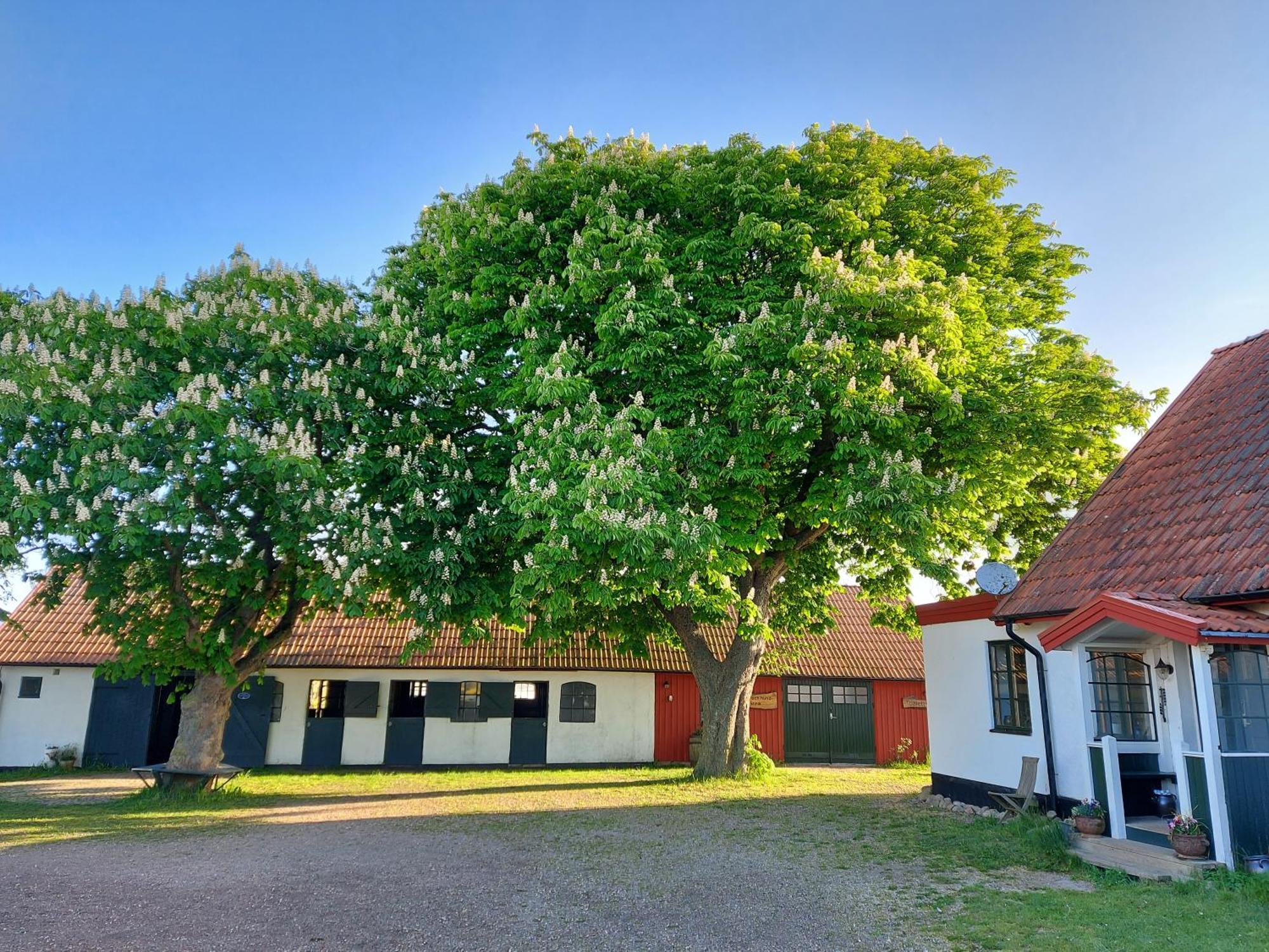 Lantligt Och Lugnt Boende Naera Natur Och Stad Svedala Luaran gambar