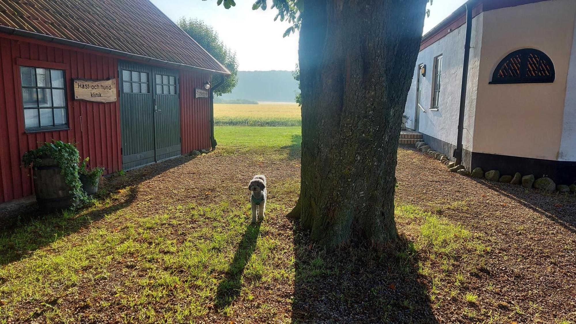 Lantligt Och Lugnt Boende Naera Natur Och Stad Svedala Luaran gambar