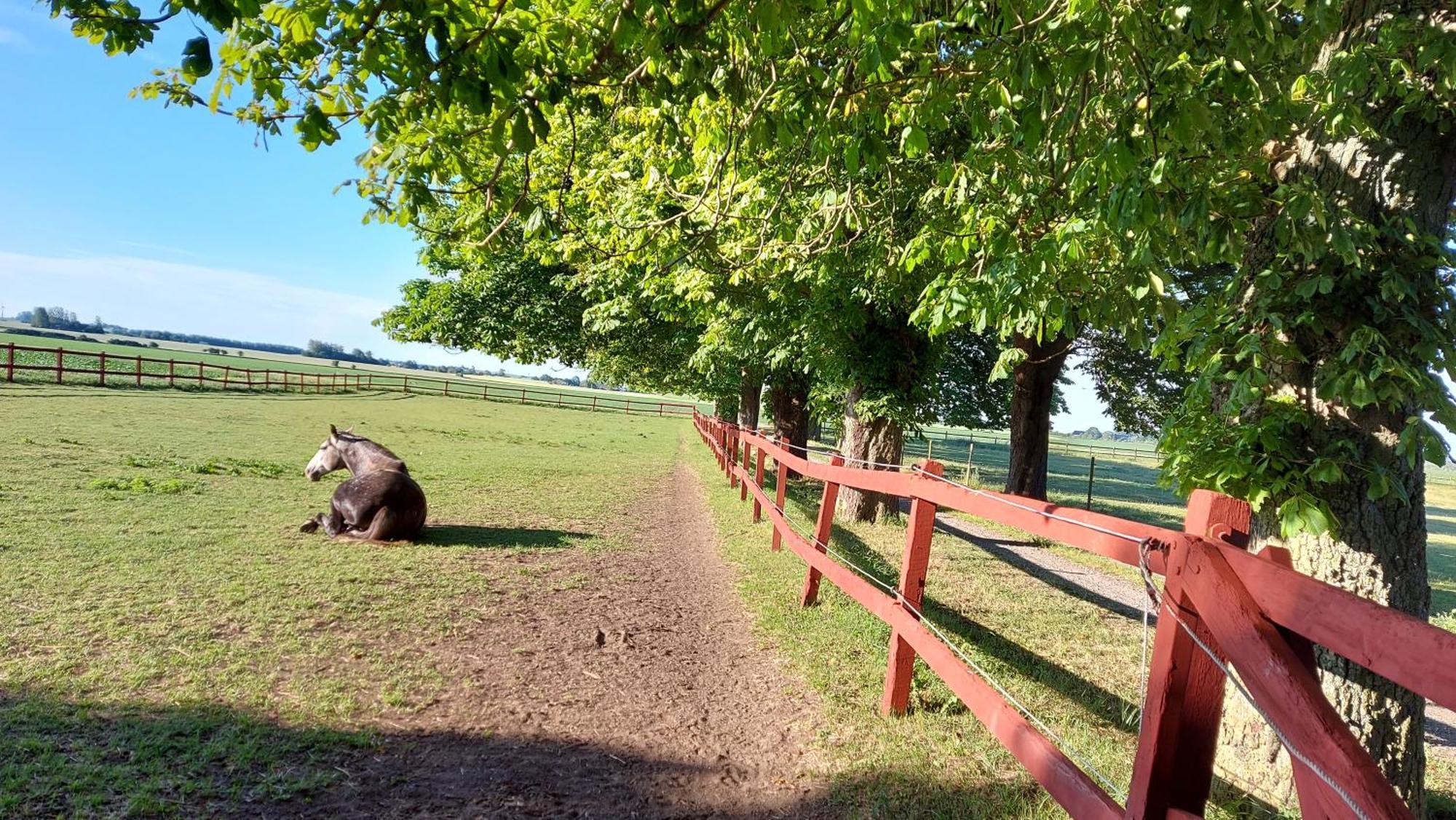 Lantligt Och Lugnt Boende Naera Natur Och Stad Svedala Luaran gambar