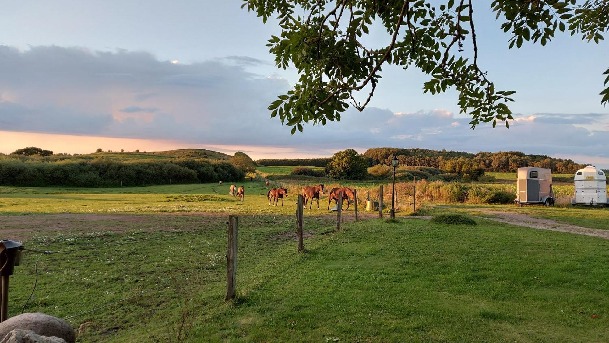 Lantligt Och Lugnt Boende Naera Natur Och Stad Svedala Luaran gambar