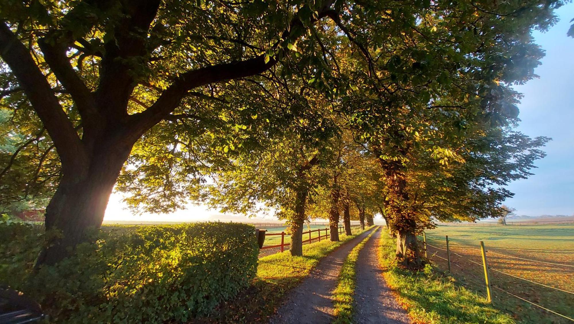 Lantligt Och Lugnt Boende Naera Natur Och Stad Svedala Luaran gambar